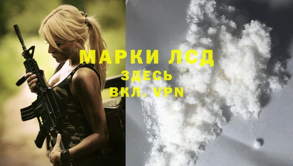 сатива Баксан