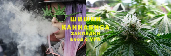 сатива Баксан
