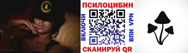 Псилоцибиновые грибы Psilocybe  где можно купить   Щигры 
