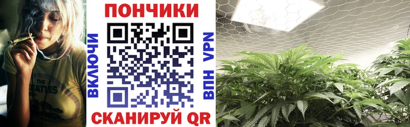 Марихуана марихуана  как найти закладки  площадка официальный сайт  Щигры 
